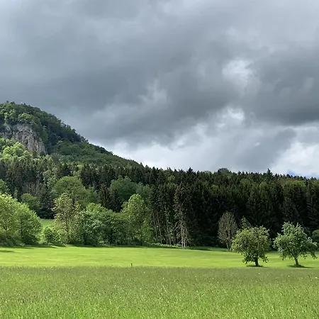 Albtrauf *